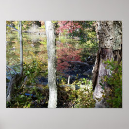vatten och träd poster