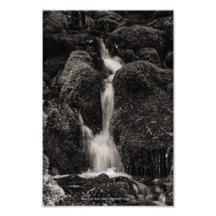 Vatten Över Moss Fototryck