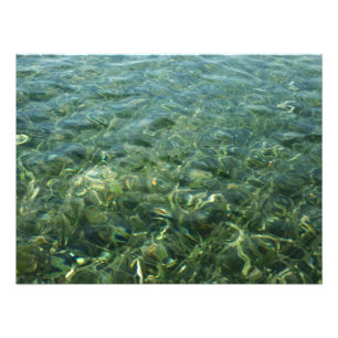 Vatten över Sea Grass I Karibiska naturen Fototryck