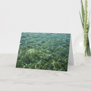 Vatten över Sea Grass I Karibiska naturen Kort