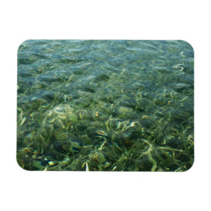 Vatten över Sea Grass I Karibiska naturen Magnet
