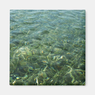 Vatten över Sea Grass I Karibiska naturen Magnet