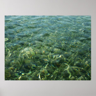 Vatten över Sea Grass I Karibiska naturen Poster