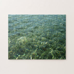 Vatten över Sea Grass I Karibiska naturen Pussel