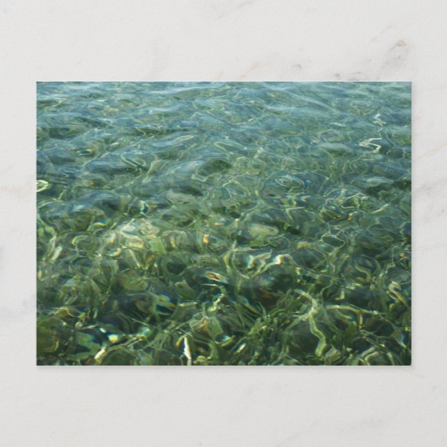 Vatten över Sea Grass I Karibiska naturen Vykort (Framsida)