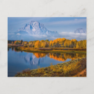 Vatten Oxbow Bend Jackson Wyoming Vykort
