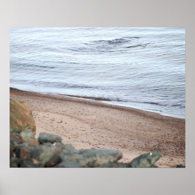 Vatten på Lakeshore Färg 16 x 20 Poster (Framsidan)