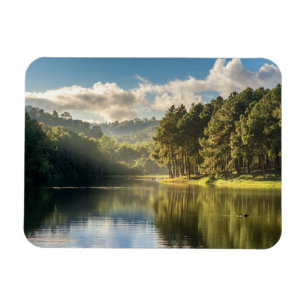 Vatten Pang Oung Sjö & Gräs Forest Thailand Magnet