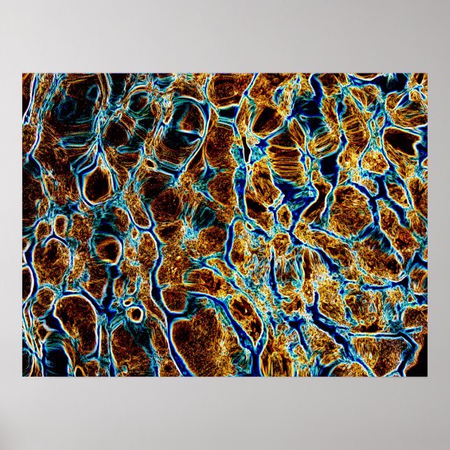 VATTEN POSTER (Framsidan)