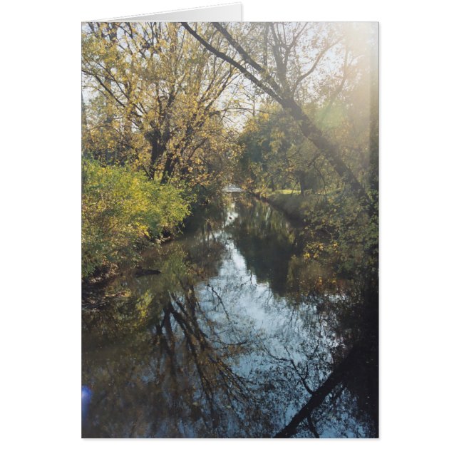 Vatten reflekterande Träd OBS Kort (Framsidan)