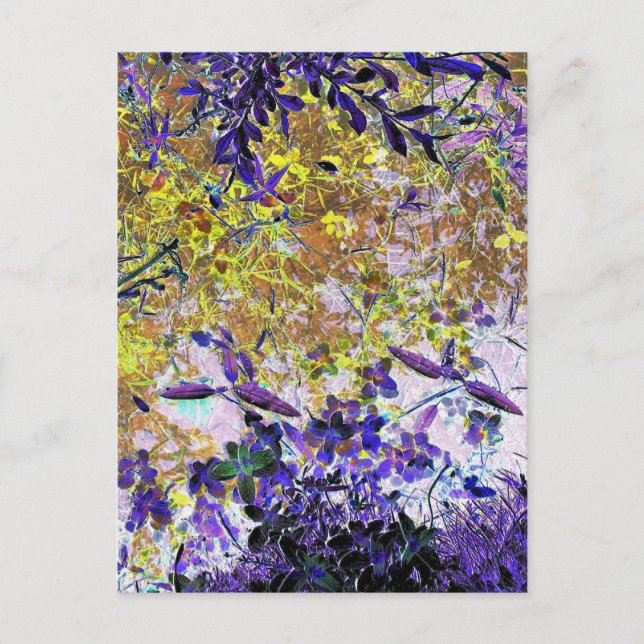 VATTEN REFLEKTIONER VYKORT (Framsida)