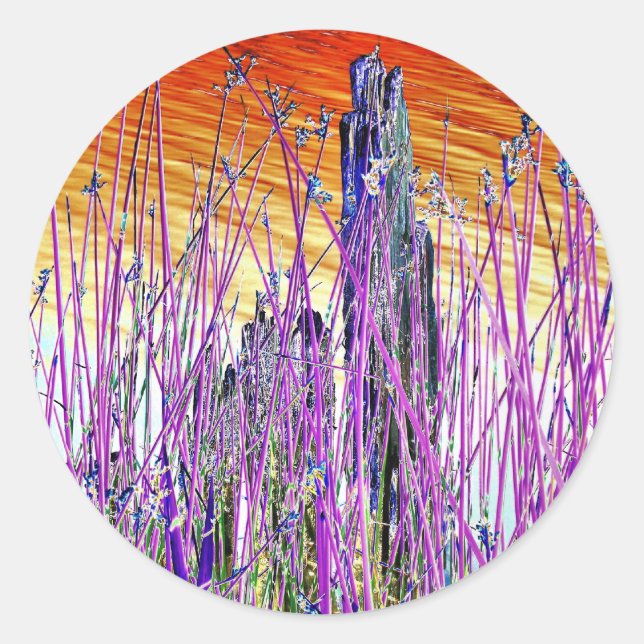 VATTEN RUNT KLISTERMÄRKE (Framsida)