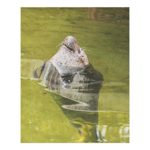 Vatten Seal Fototryck