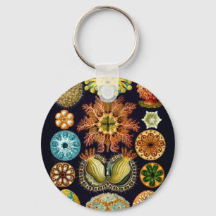 Vatten- sjöliv Ernst Haeckel Ascidiae A01 Nyckelring
