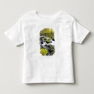 Vatten som flödar förbi Moss täckte stenar i en T Shirt