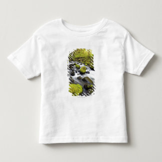 Vatten som flödar förbi Moss täckte stenar i en T Shirt