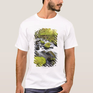 Vatten som flödar förbi Moss täckte stenar i en Tee Shirt