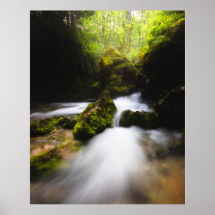 Vatten som flyter genom eländig mossy-skog poster
