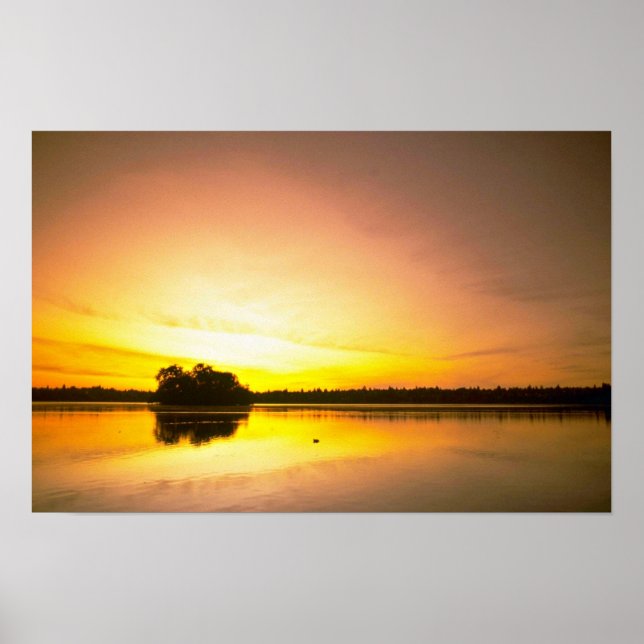 Vatten Spegel Poster (Framsidan)