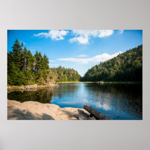 Vatten Spruce Sjö Quebec, Kanada Poster