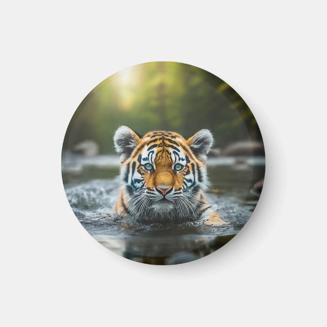 Vatten Tiger: ett majoritetsrovdjur Magnet (Framsidan)