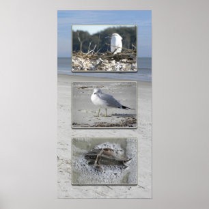 Vatten varelser triptych poster