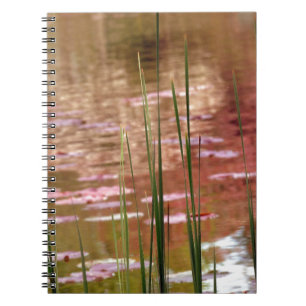 Vatten via Reeds Anteckningsbok Med Spiral