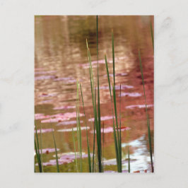 Vatten via Reeds Vykort