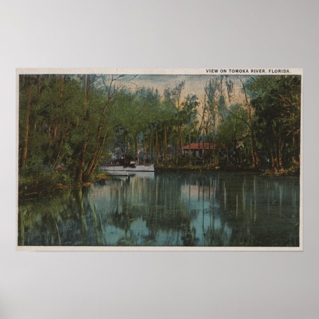 Vatten View of Tomoka River & Marsh, Florida Poster (Framsidan)