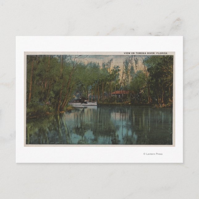 Vatten View of Tomoka River & Marsh, Florida Vykort (Framsida)