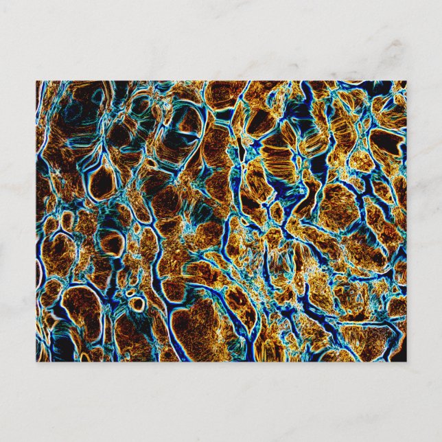 VATTEN VYKORT (Framsida)