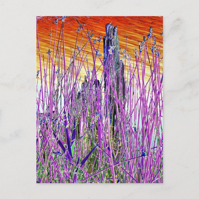 VATTEN VYKORT (Framsida)