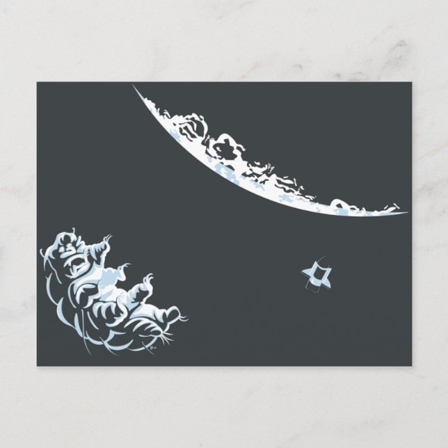 Vattenbjörn Postkort (Liggendes) Vykort (Framsida)