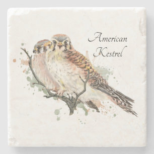 Vattencolor Art Birding Kestrel par Stenunderlägg