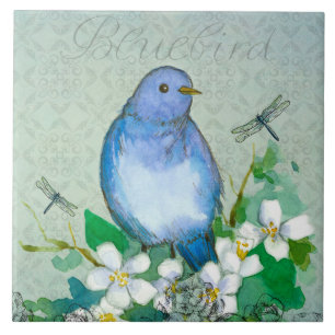 Vattencolor Bluebird Dragonflies Syringa Kakelplatta