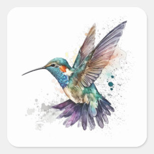 Vattencolor Hummingbird Stickers Fyrkantigt Klistermärke