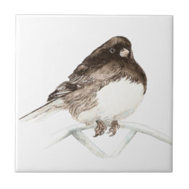 Vattencolor Junco Bird art Kakelplatta