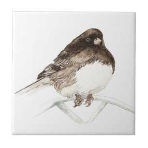 Vattencolor Junco Bird art Kakelplatta