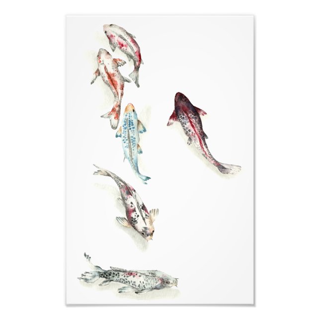 Vattencolor Koi Fish Fototryck (Framsidan)
