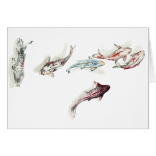 Vattencolor Koi Fish Hälsningskort