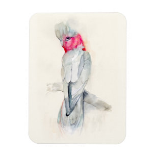 Vattencolor Opera Cockatoo Magnet