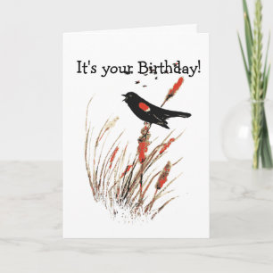 Vattencolor Red Vinge Blackbird Bird Nature art Kort