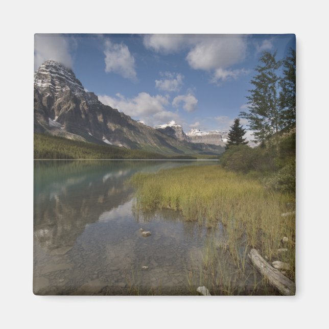 Vattenfågeldamm längs Icefields parkway, Magnet (Framsidan)