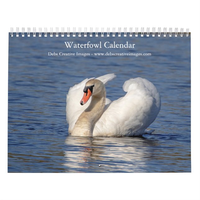 Vattenfåglar 2026 kalender (Omslag)