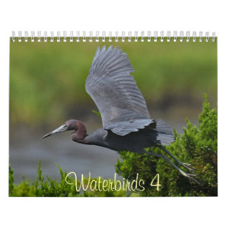 Vattenfåglar 4 kalender