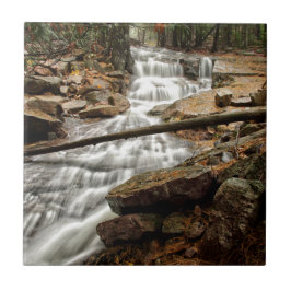 Vattenfall 4 kakelplatta