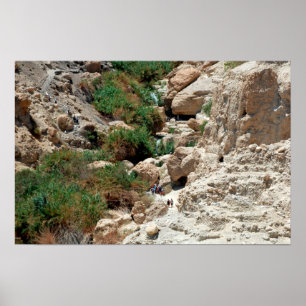 Vattenfall av Ein Gedi i den Judean öknen, Israel Poster