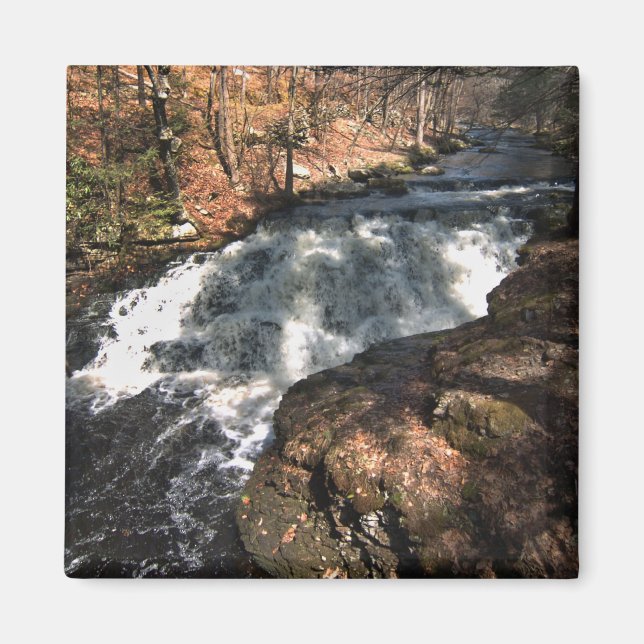 Vattenfall - Bushkill Falls Magnet (Framsidan)