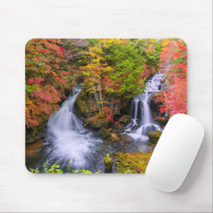 Vattenfall Faucet Waterfalls Nikko Japan Fall Musmatta