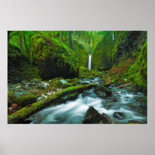 Vattenfall Grotto Falls, Oregon Poster